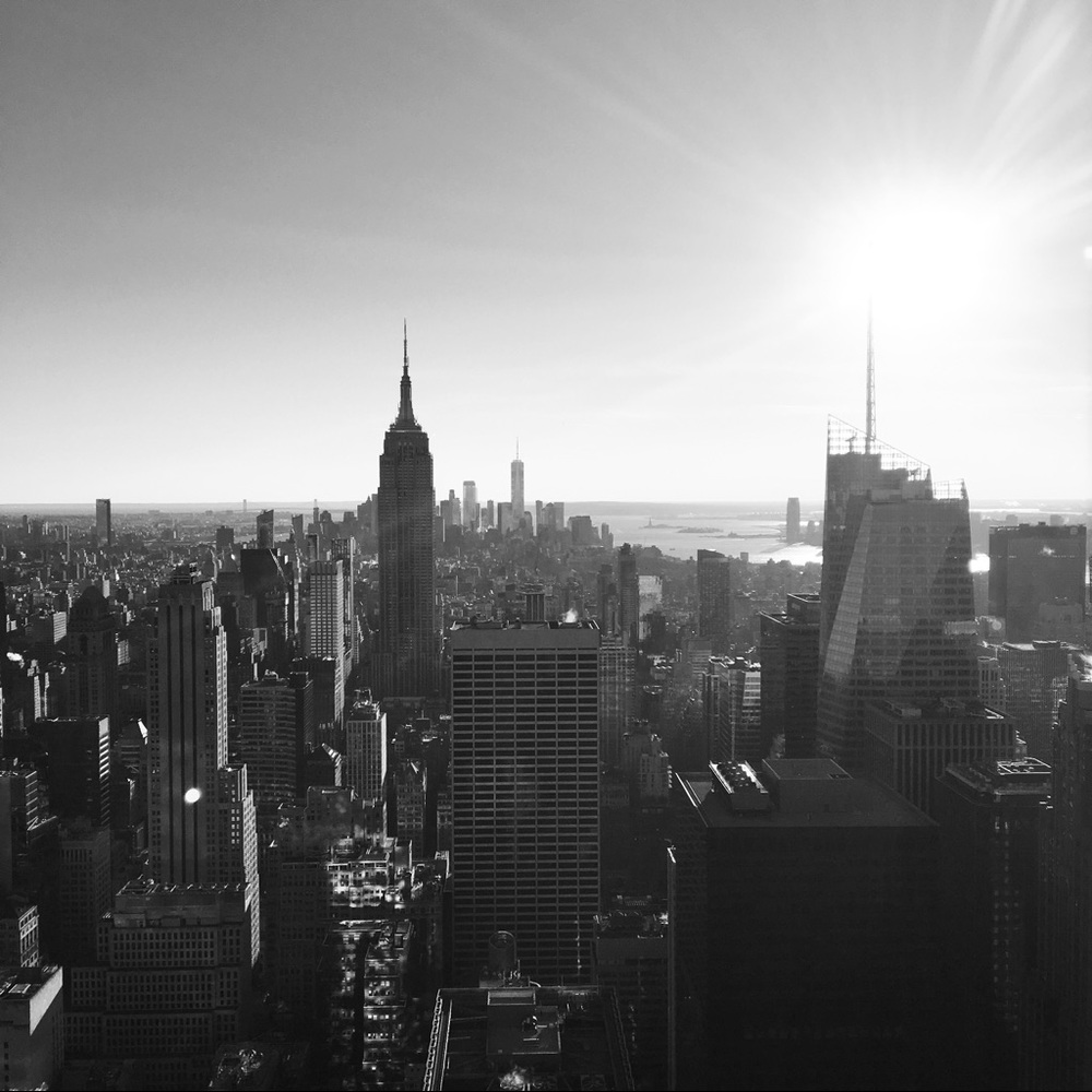 Meet your Posher, Harlow Jane